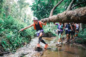 BIB: 
                            <button type="button" onclick="openModal(25373558)" class="btn btn-primary btn-sm float-right btn-popup" data-toggle="modal" data-target=".modal-high-quality">
                        <i class="fas fa-shopping-cart"></i> Add to Cart
                    </button>
                                            <button type="button" onclick="isThisMe(25373558, true)" class="btn btn-success btn-sm float-right btn-popup btn-isme hidden" data-toggle="tooltip" data-placement="bottom" title="นี่คือรูปของคุณใช่ไหม คลิกที่นี่เพื่อเอาเข้าอัลบั้ม">
                        <i class="fas fa-plus"></i> Add to album
                    </button>
                    <button type="button" onclick="isThisMe(25373558, false)" class="btn btn-warning btn-sm float-right btn-popup btn-isnotme hidden">
                        <i class="fas fa-ban"></i> Remove from album
                    </button>